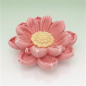 Цветок циннии